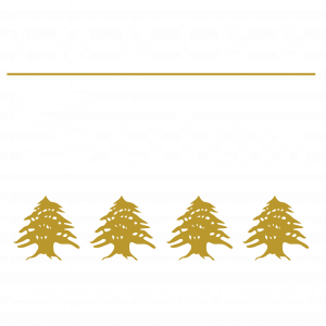 salam Imbiss-Logo-White